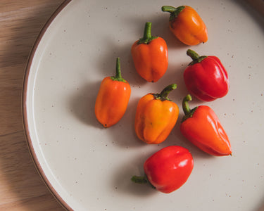 Mini Belle Mix Pepper Seeds